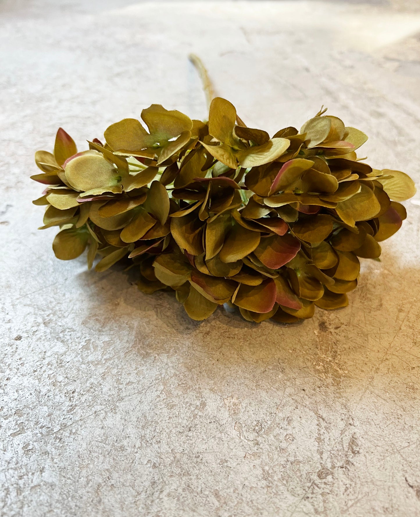 HORTENSIA VERDE