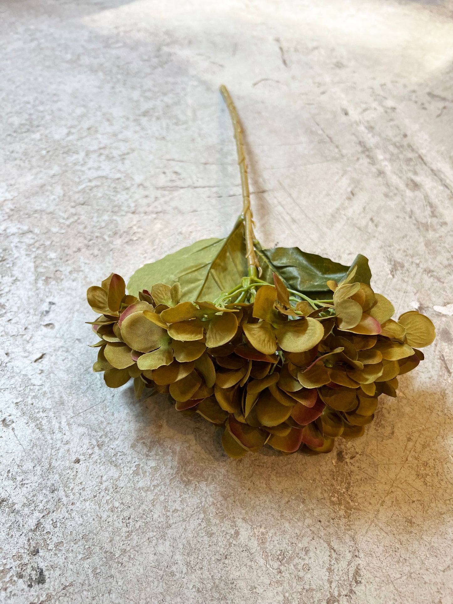 HORTENSIA VERDE