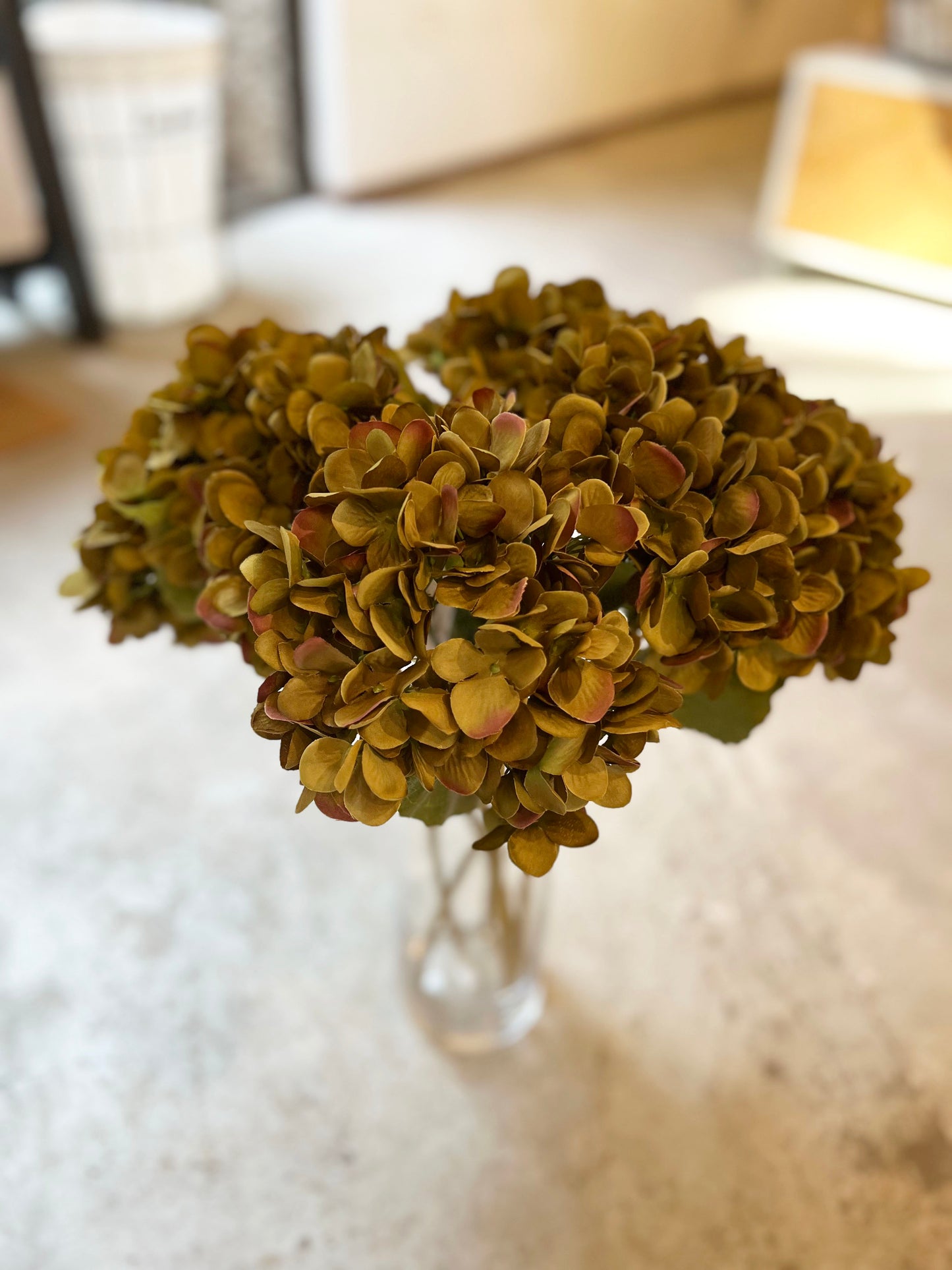 HORTENSIA VERDE