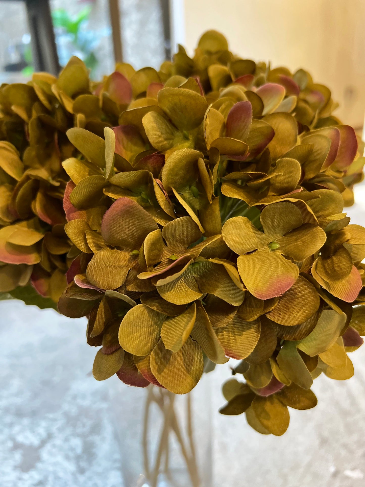 HORTENSIA VERDE