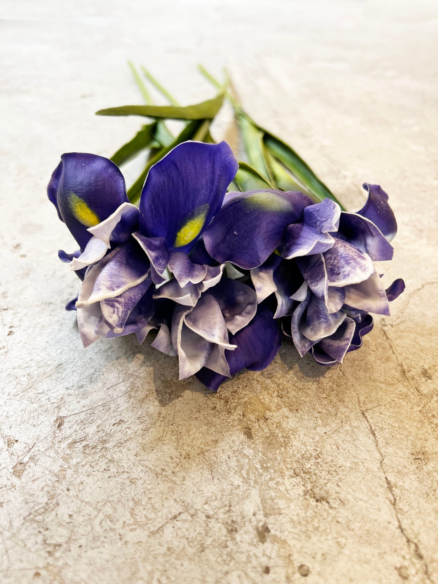FLOR IRIS MORADO