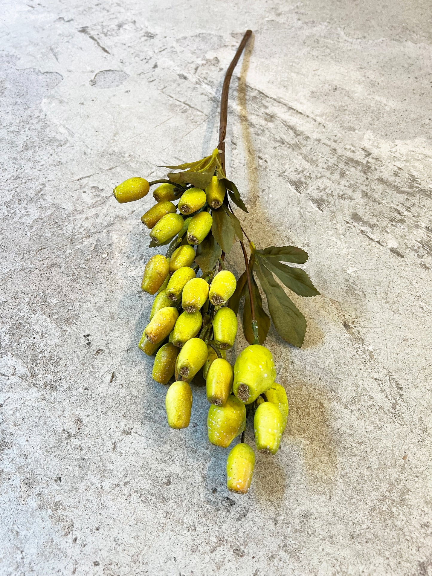 VARA SEMILLA VERDE