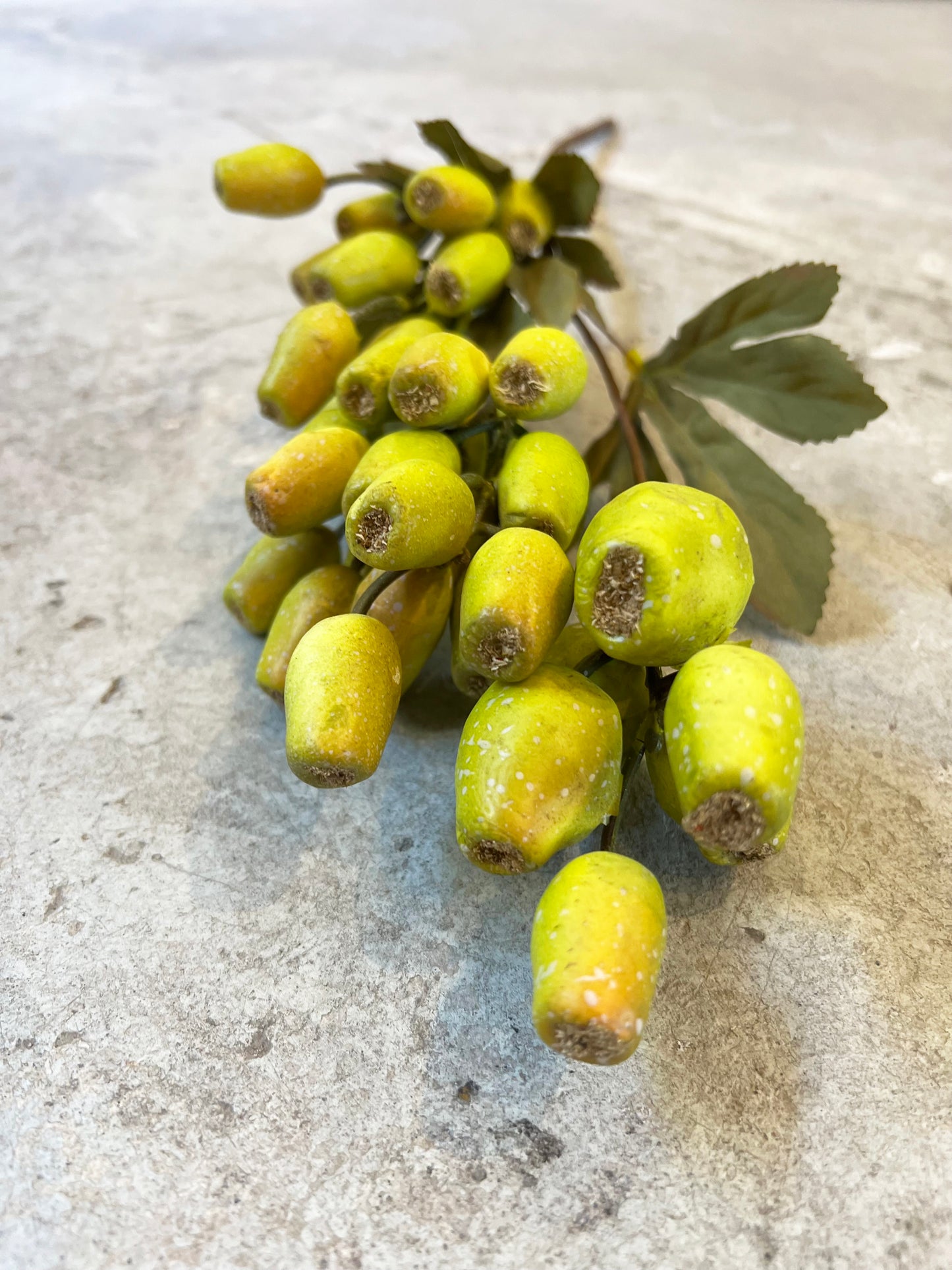 VARA SEMILLA VERDE