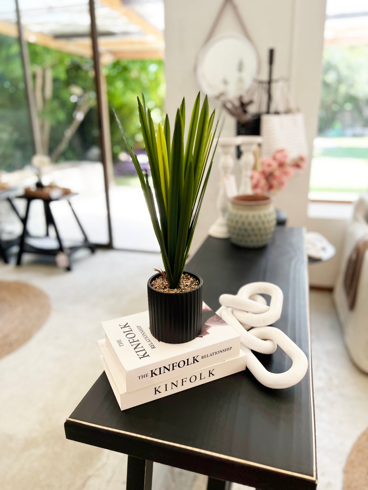 PLANTA MACETERO DRACAENA