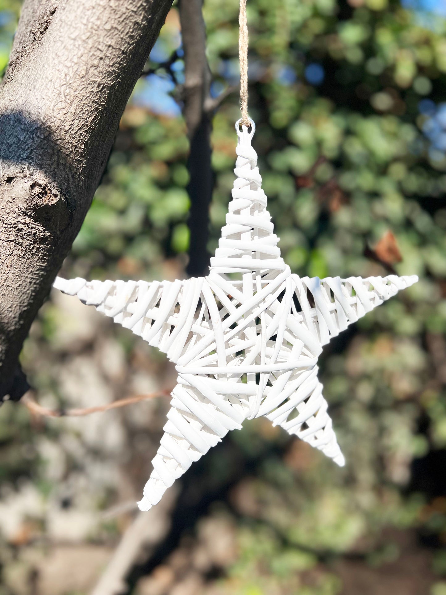 ESTRELLA BLANCA M