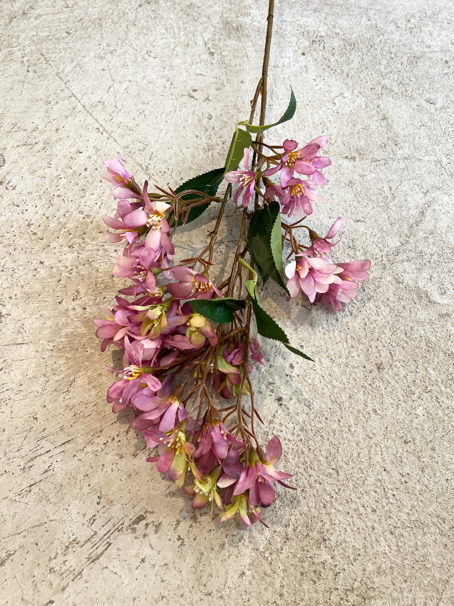 FLOR FRESIA MORADA