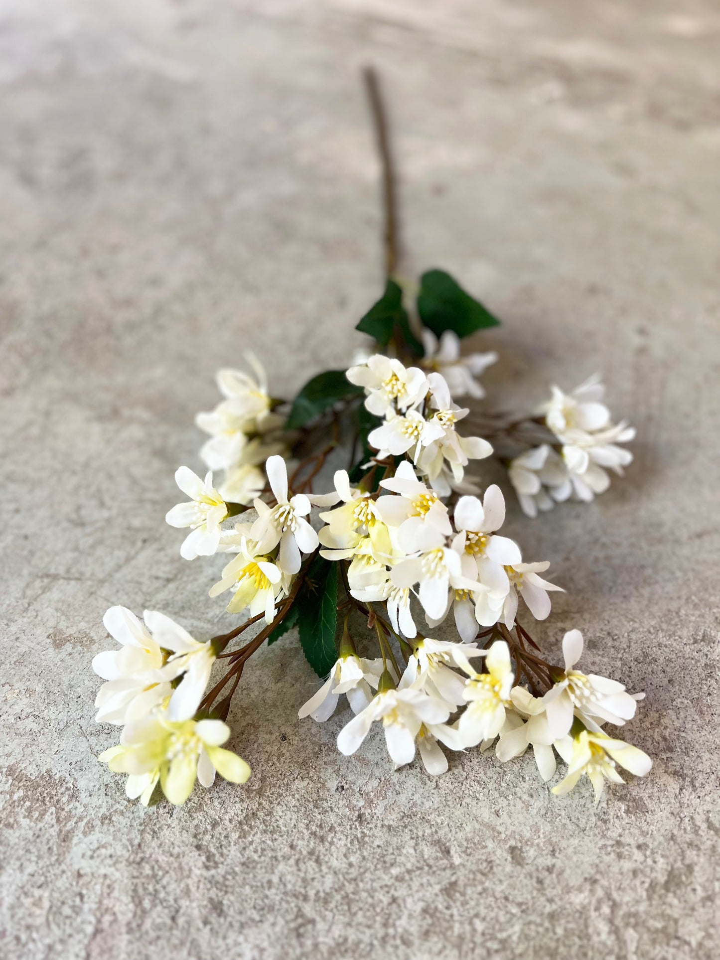 FLOR FRESIA BLANCA