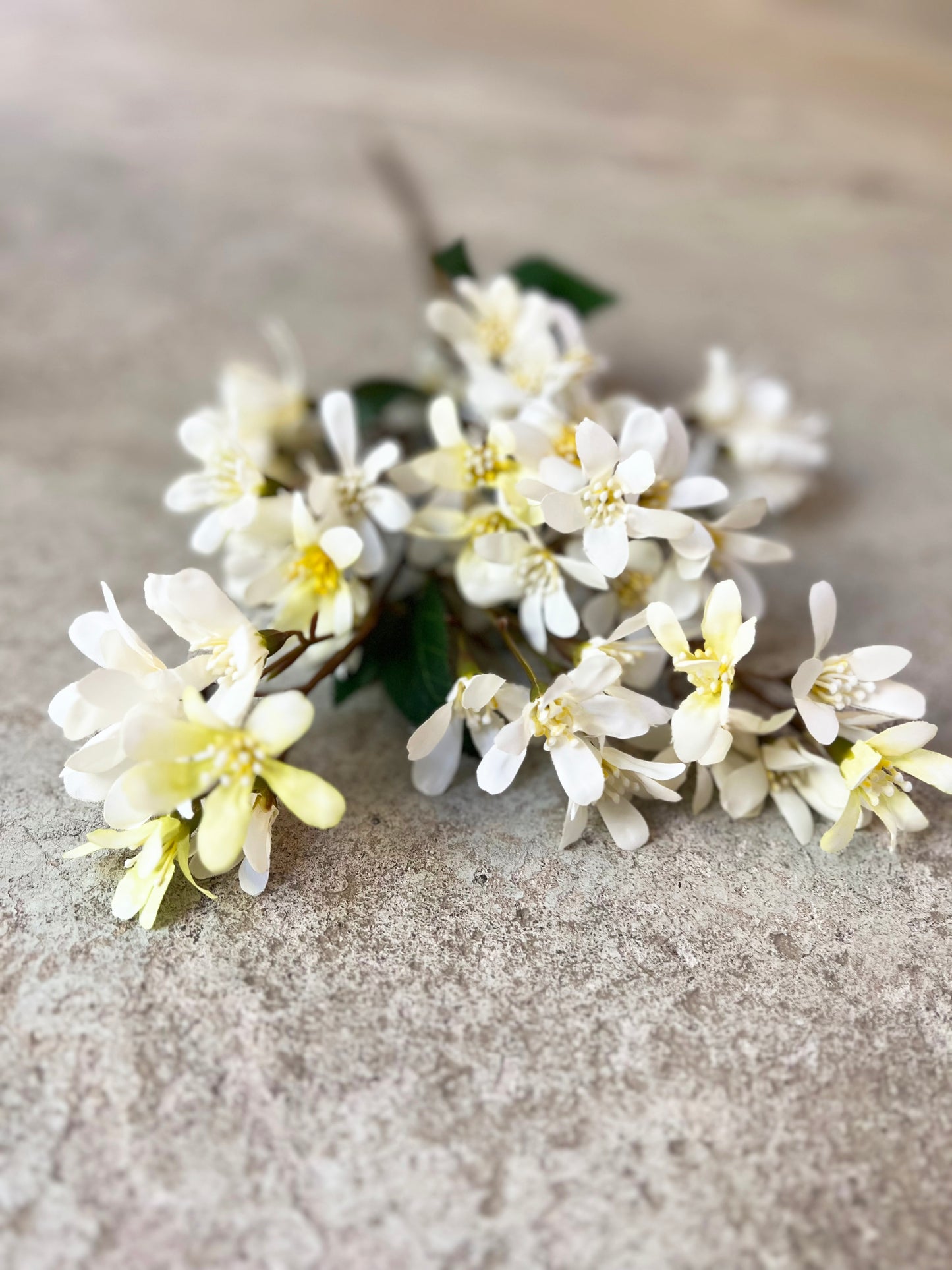 FLOR FRESIA BLANCA