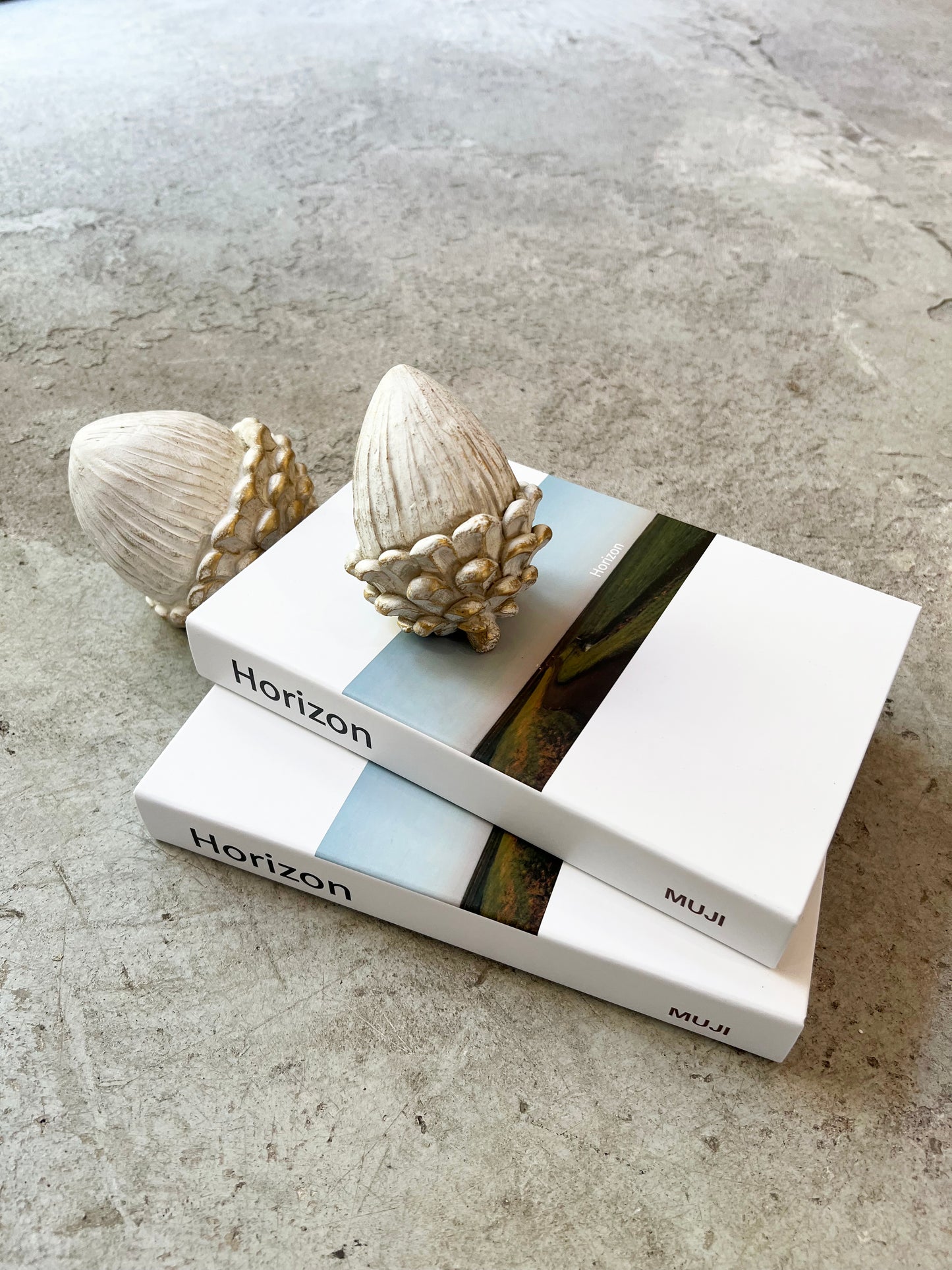 LIBRO HORIZON