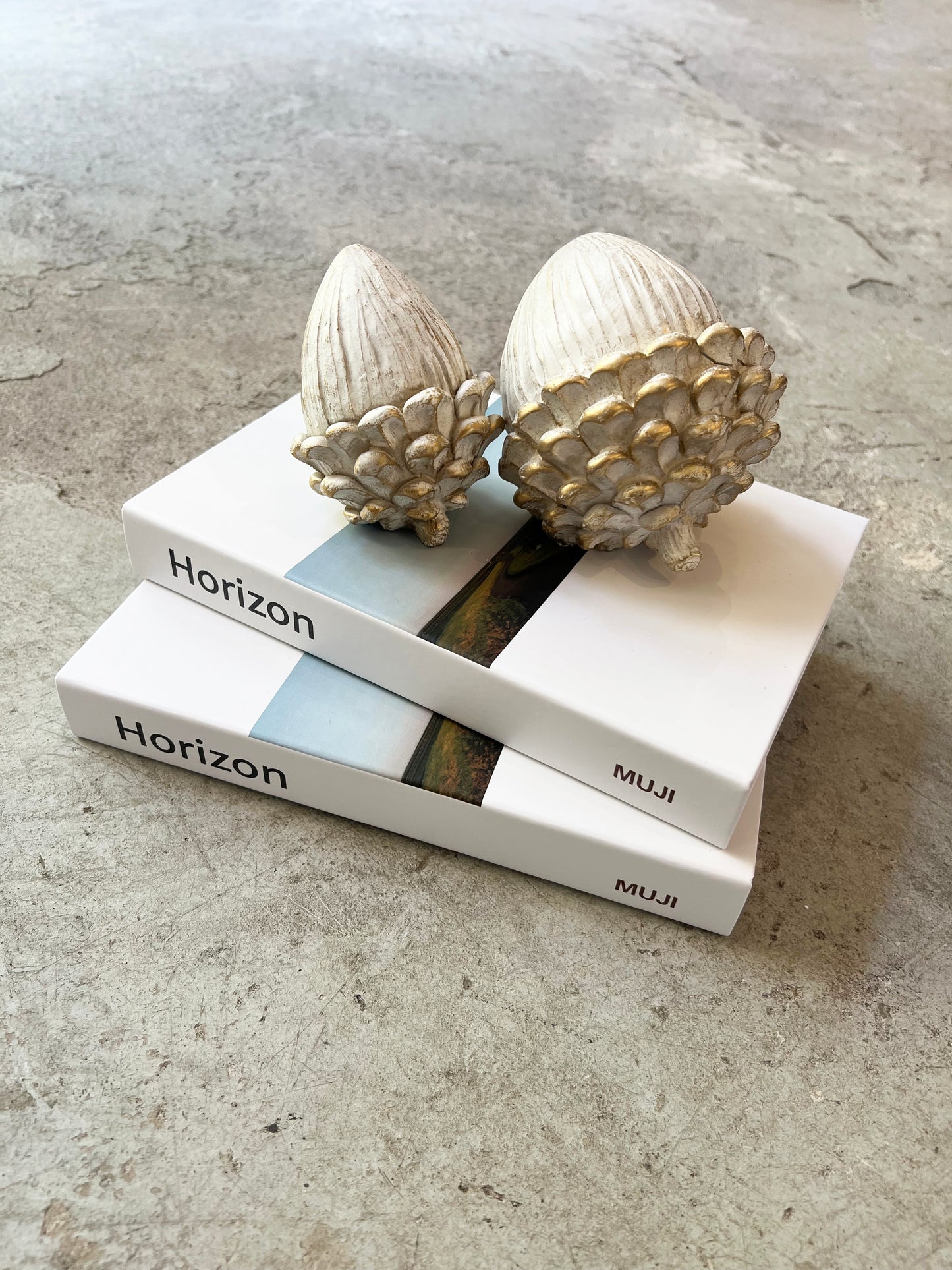 LIBRO HORIZON