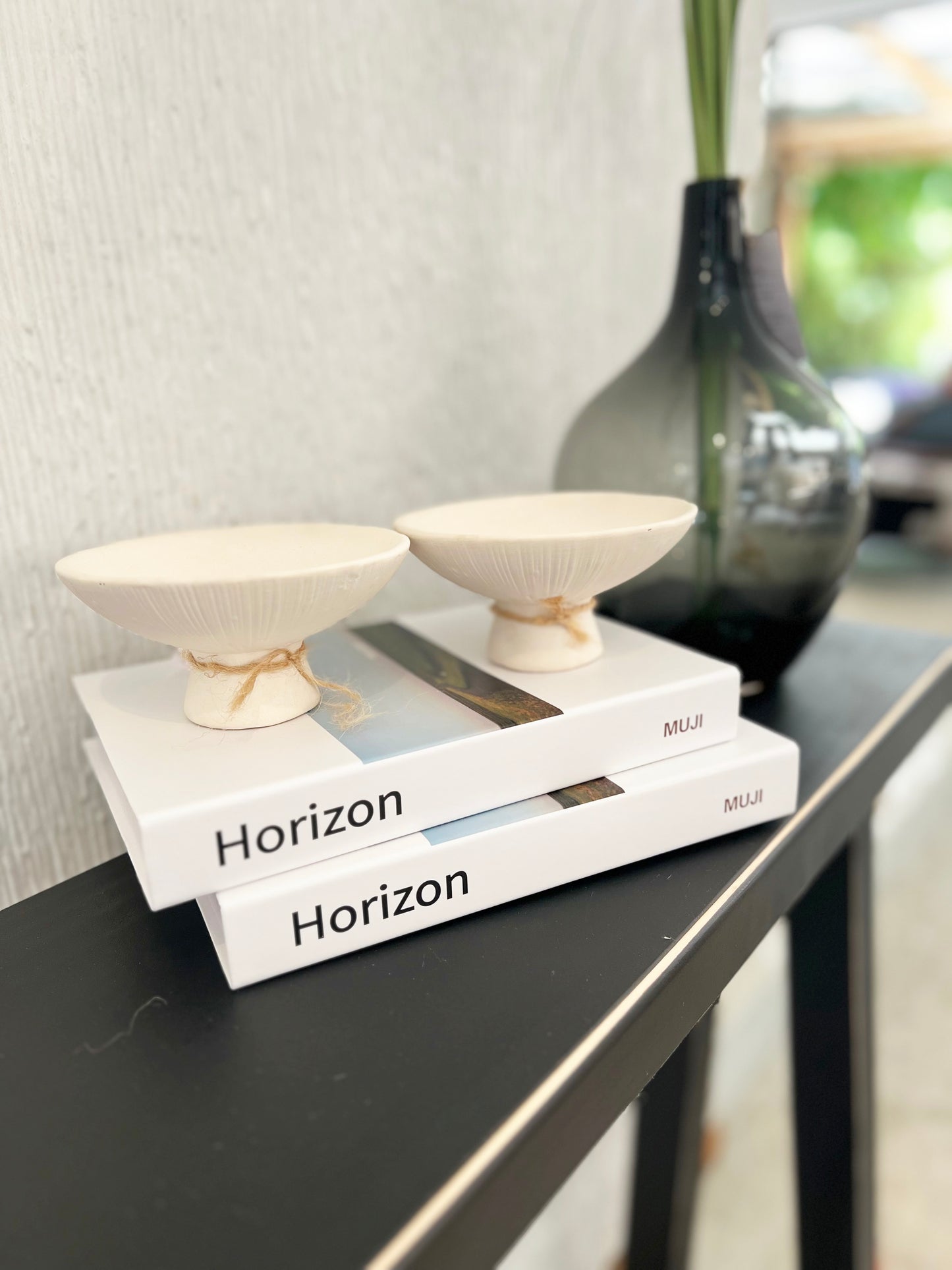 LIBRO HORIZON