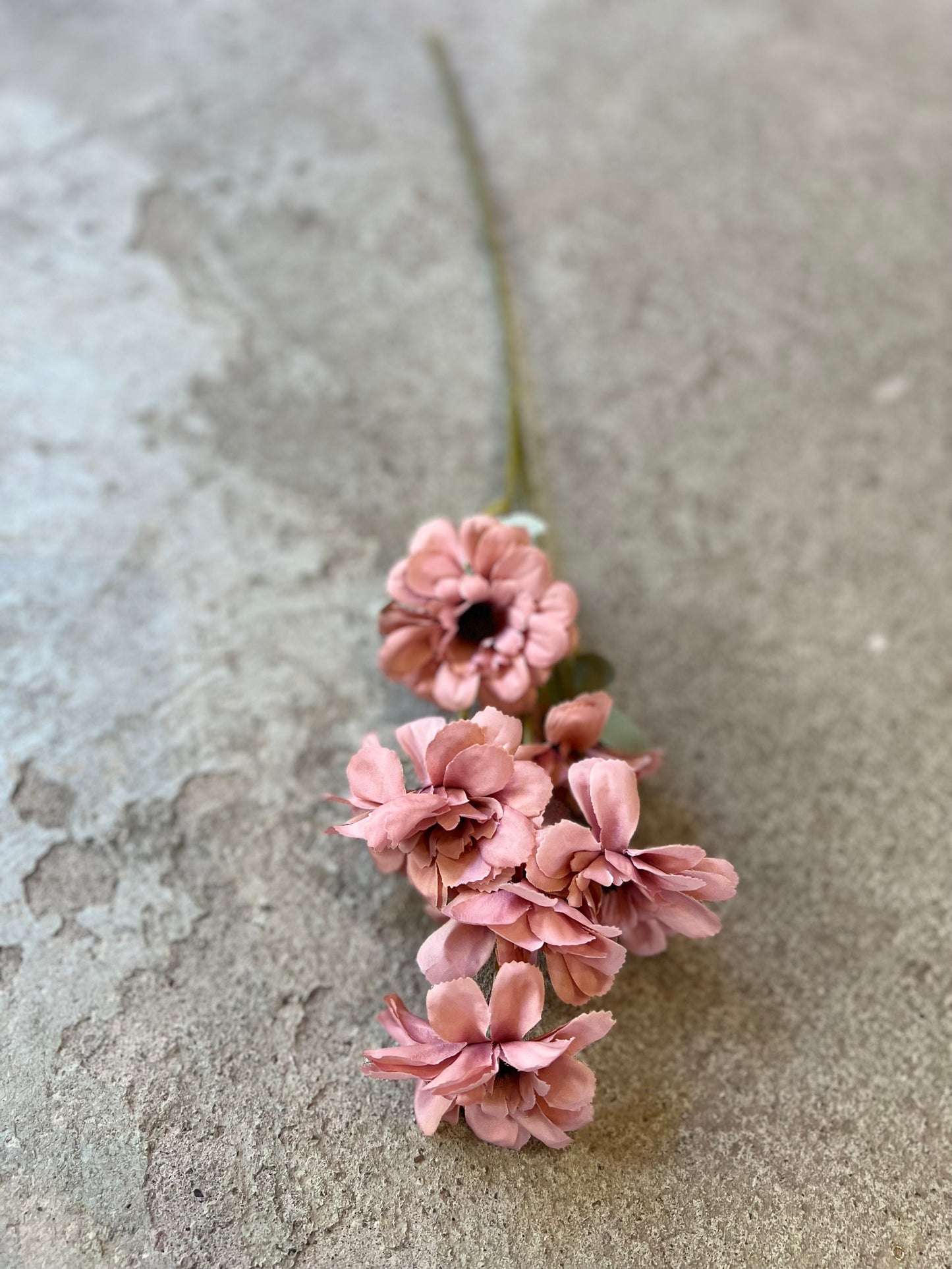 FLORES ROSADAS