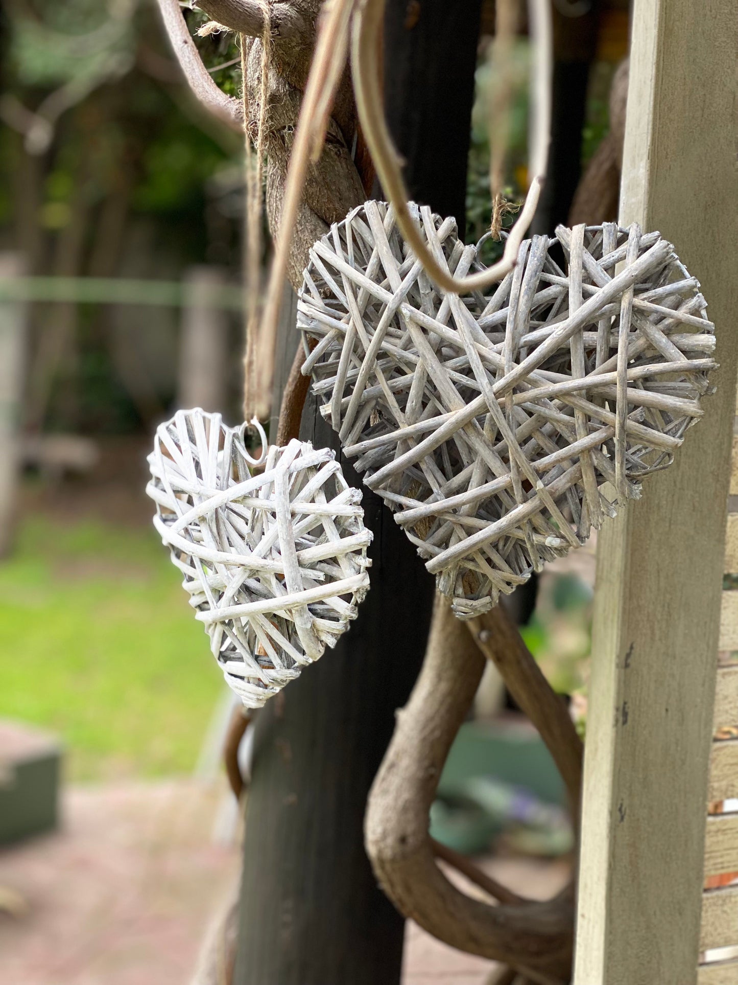 CORAZÓN BLANCO S