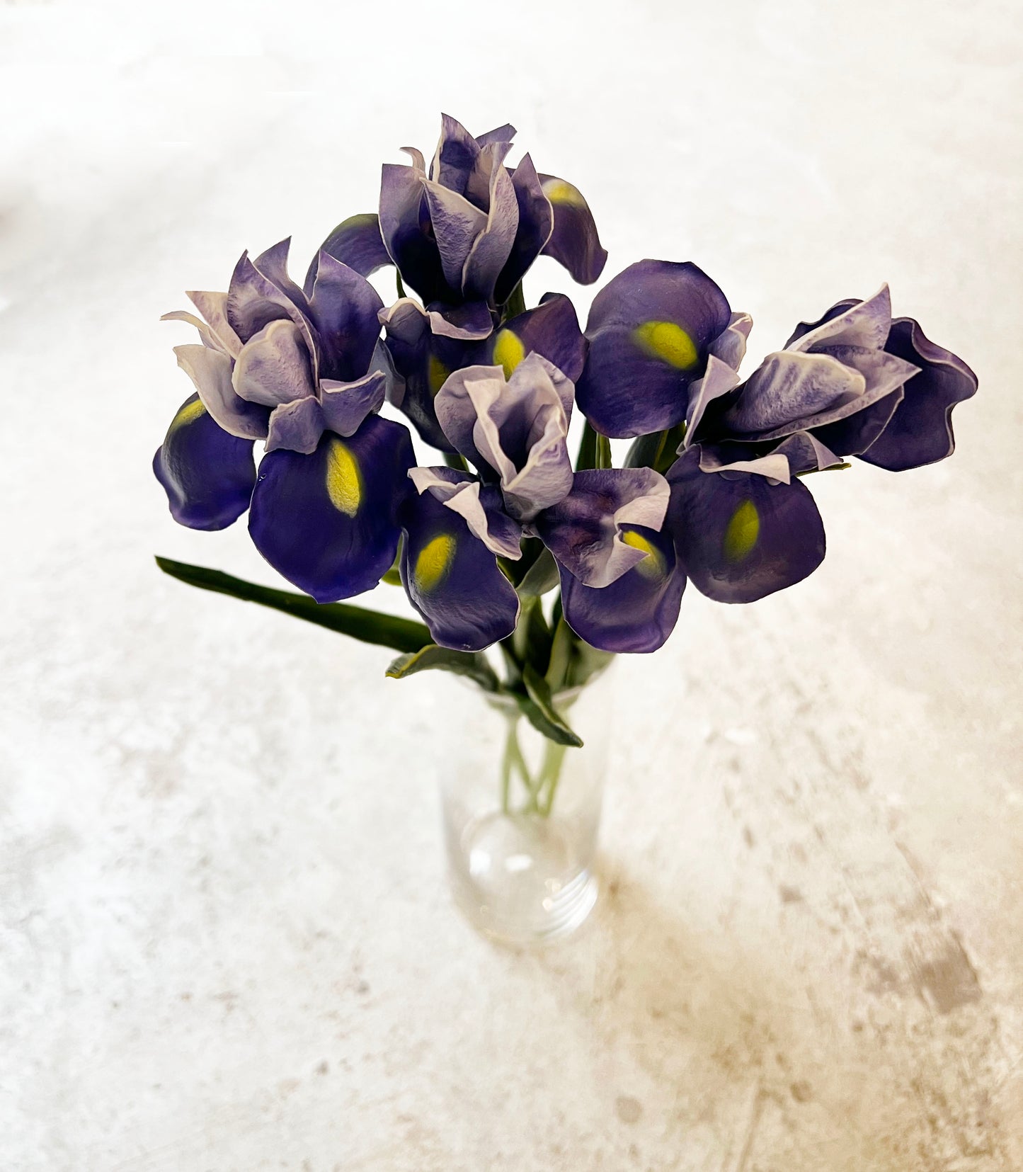FLOR IRIS MORADO