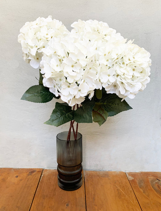 HORTENSIA BLANCA LARGA
