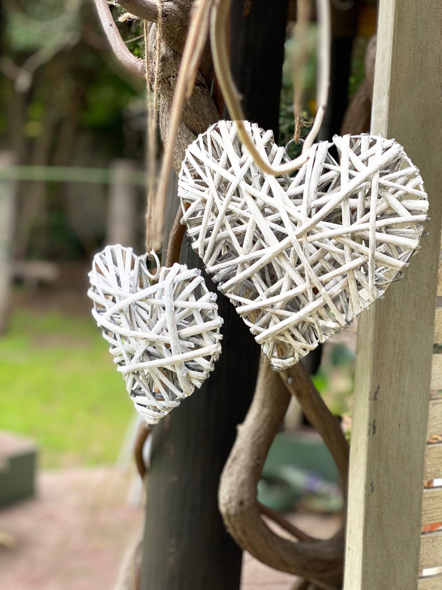 CORAZÓN BLANCO M